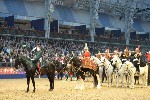 Cavalry - 00297